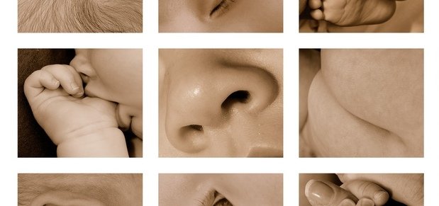 idiomy o chastyakh tela | blog ob anglijjskom yazyke ot easyspeak 24 Ідіоми про частинах тіла | Блог про англійською мовою від EasySpeak